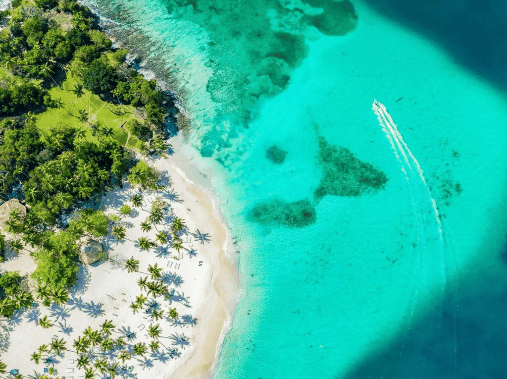 Samaná: Los Haitises Nationalpark & Cayo Levantado Insel