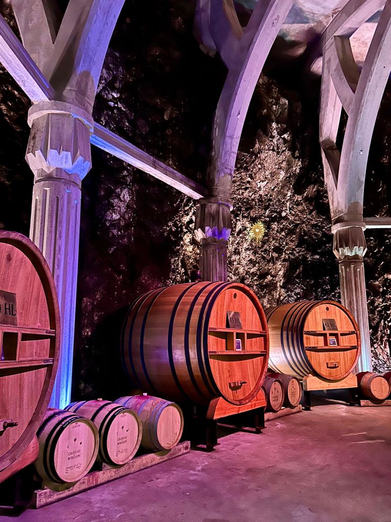 Private Tour durch die Alpilles, Weinproben und Restaurantbesuch