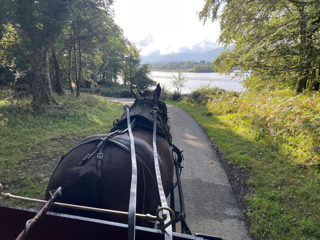 Killarney Nationalpark Jaunting Car Tour