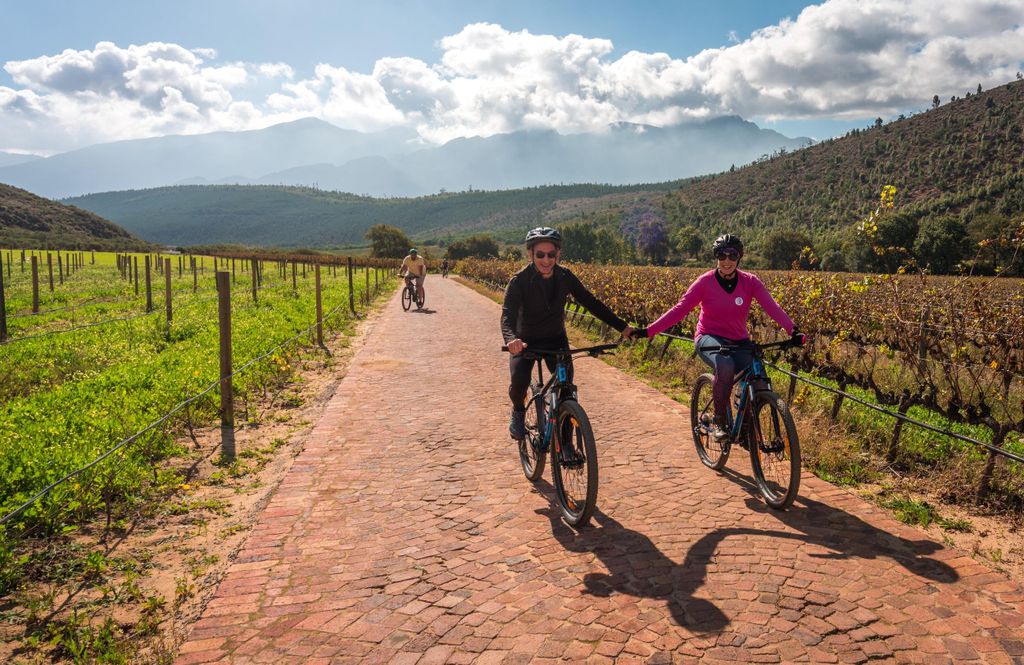 Franschhoek: Private E-Bike-Fahrt & Weinerlebnis