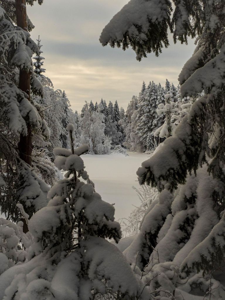 Oulu: Geführte Winter-Tagestour zum Naturschutzgebiet Sanginjoki