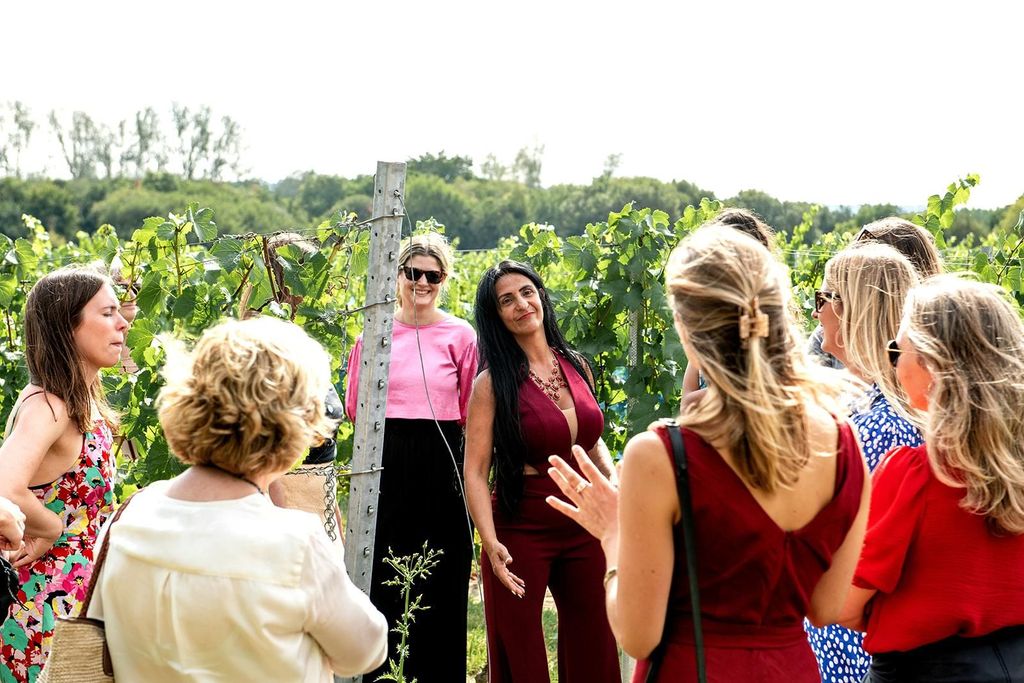 Bodiam: Tour durch den Weinberg und Weinverkostung