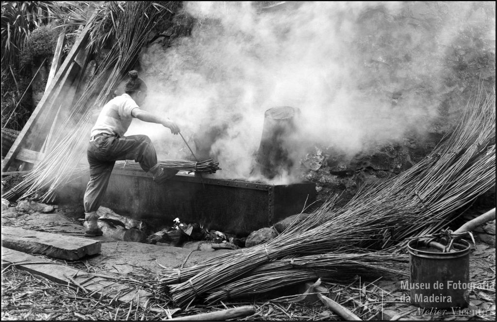 Camacha – Die Kunst des Weidenrohrs