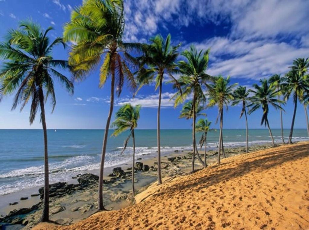 Von Fortaleza aus: Tagestour zum Strand von Lagoinha