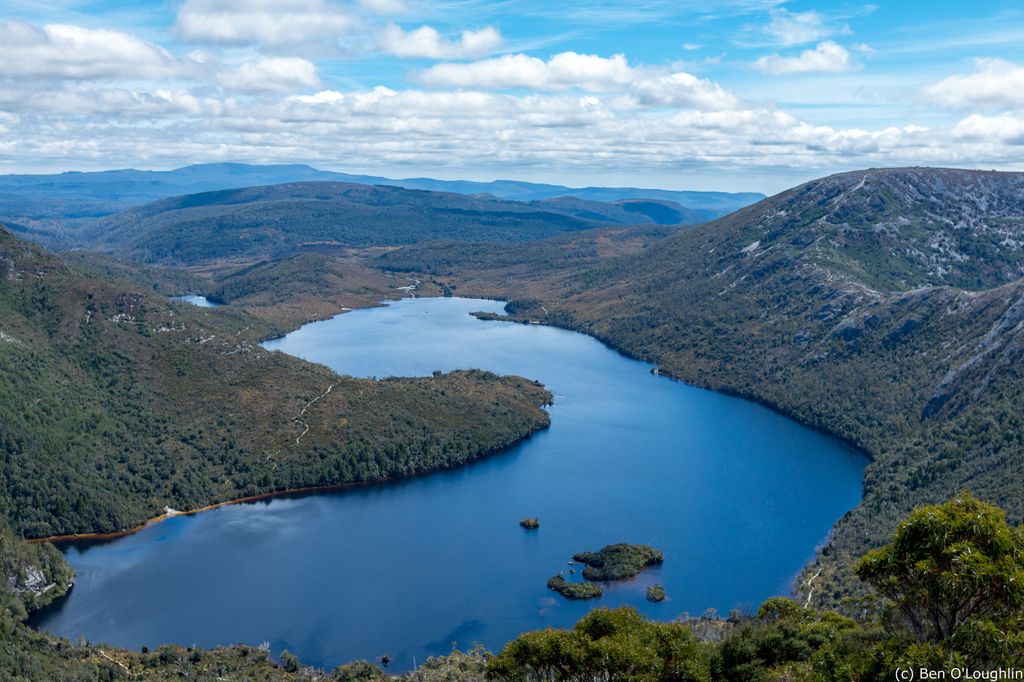 Cradle Mountain: Geführte Tagestour zum Dove Lake mit Mittagessen