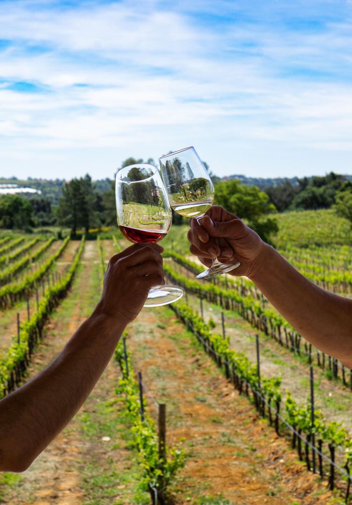 Von Albufeira: Weinprobe & historische Silves-Tour