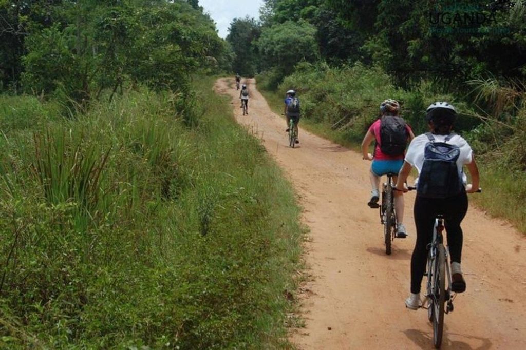 Nyandarua: Offroad-Mountainbike-Tour im Aberdare-Gebirge