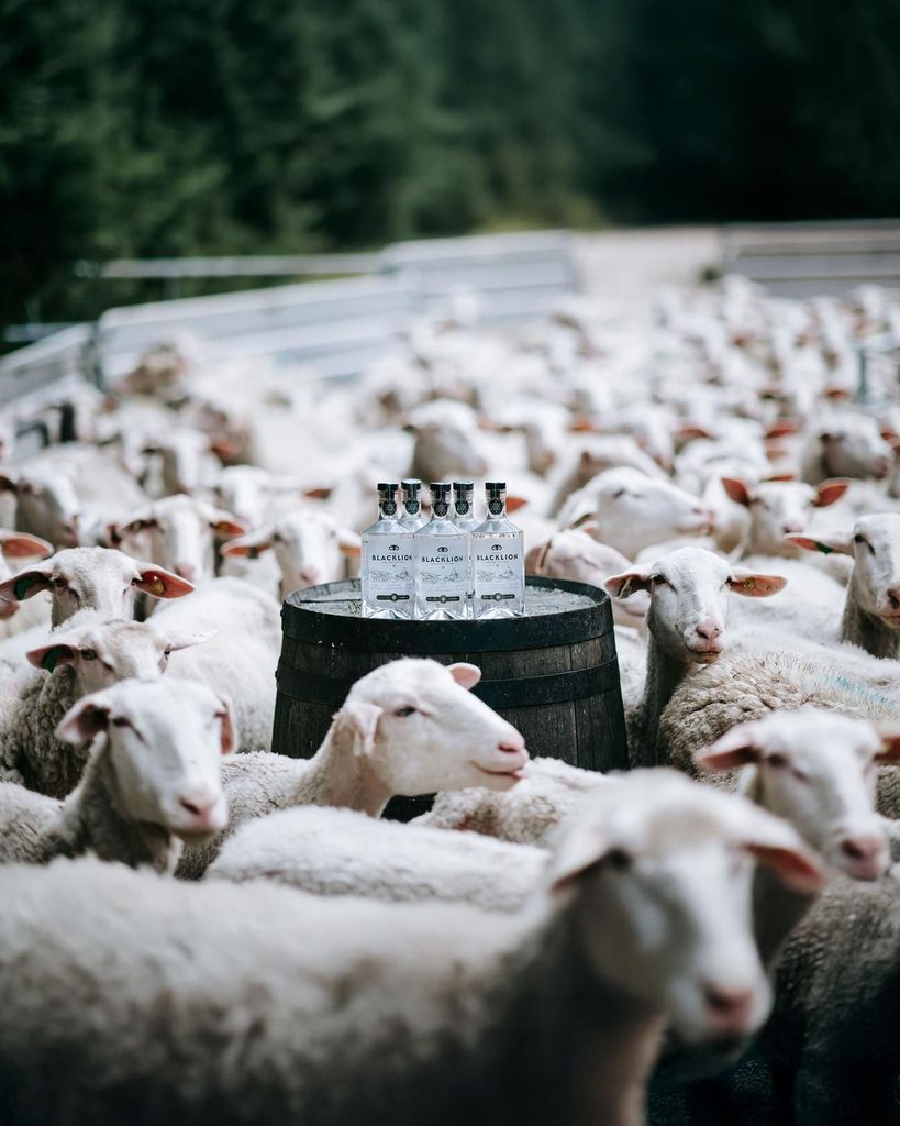 North Cotswolds: Farm-Erlebnisse auf der Wodka-Farm