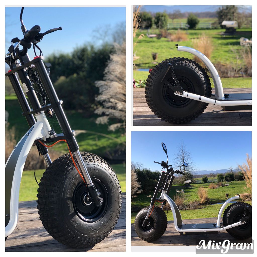 Baden-Baden: Private geführte KNUMO-Scooter-Tour durch den Weinberg VIP