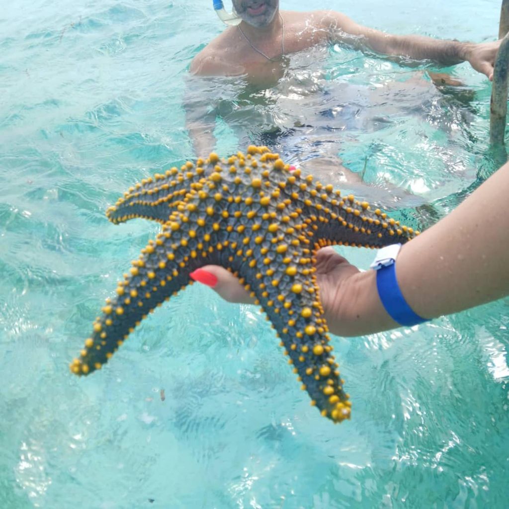 Ins Blaue: Lagune, Seestern, Salam-Höhle, Schildkröten