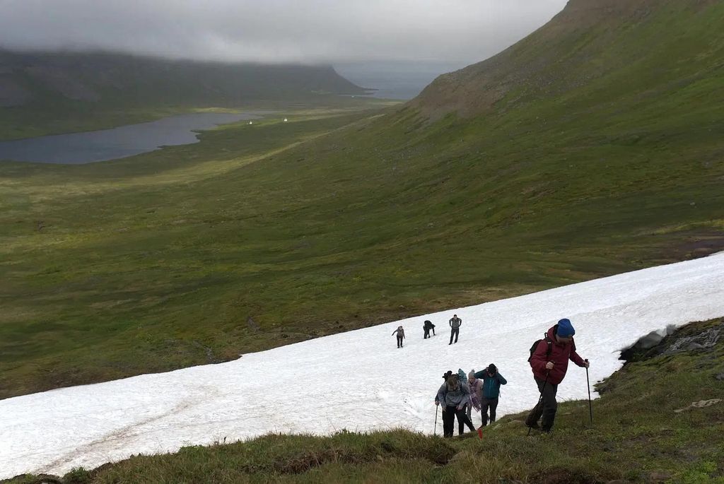 Ísafjörður: Geführte Wanderung durch Hornstrandir von Hesteyri nach Aðalvík