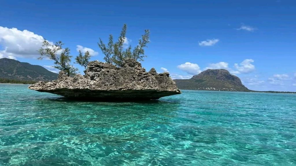 Île aux Bénitiers: Tour mit Delfinbeobachtung & Mittagessen