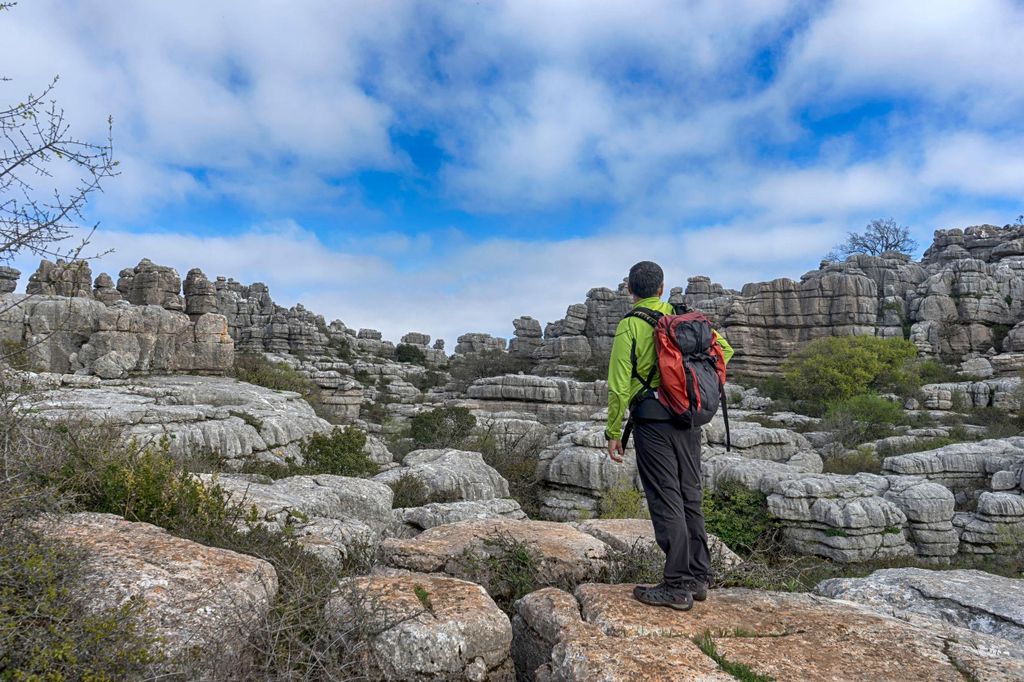 Ab Nerja: Private Tour nach Málaga, El Torcal und Antequera