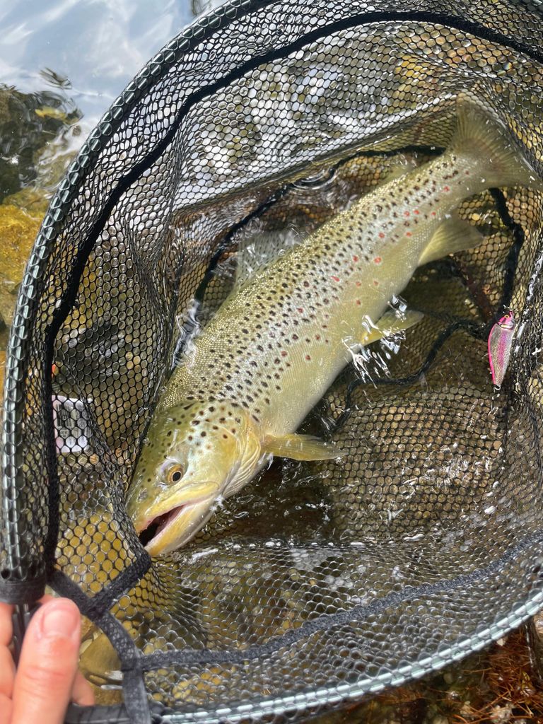 Bassano del Grappa: Unser Angler-Guide am Brenta