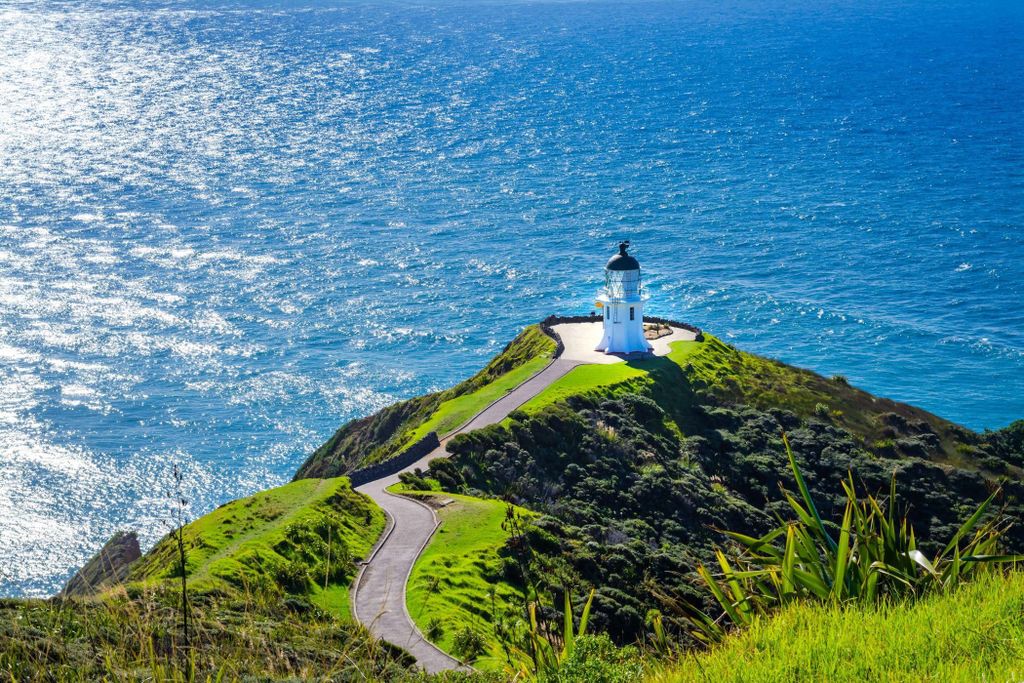 Von Auckland: 6-tägige Northland-Tour mit deutschsprachigem Guide
