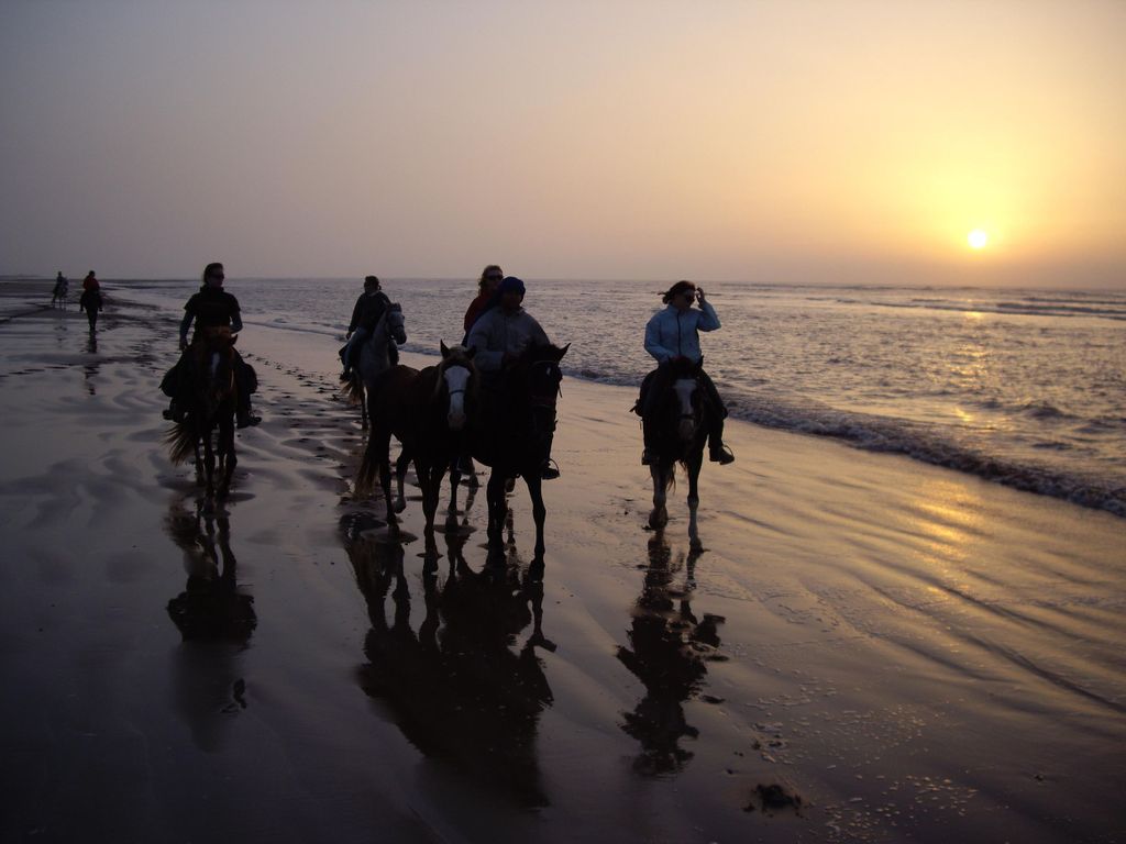 Essaouira: Ganztagestour zum Reiten mit Mittagessen