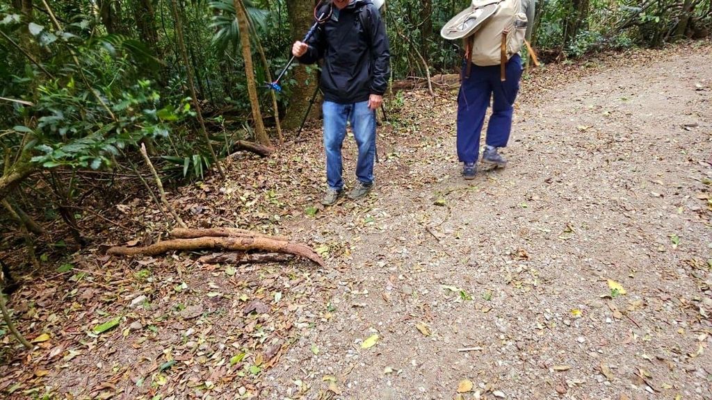 Monteverde: nächtliche Tour durch den Nebelwald mit Pablo