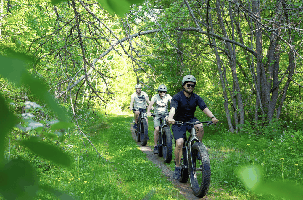 Oulu: Kulturelle Radtour