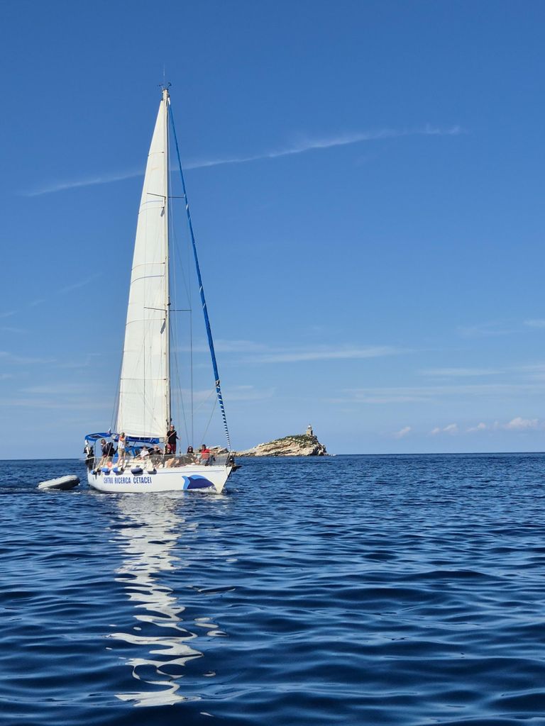 Forscher für einen Tag auf Elba – Delfin-Erlebnis