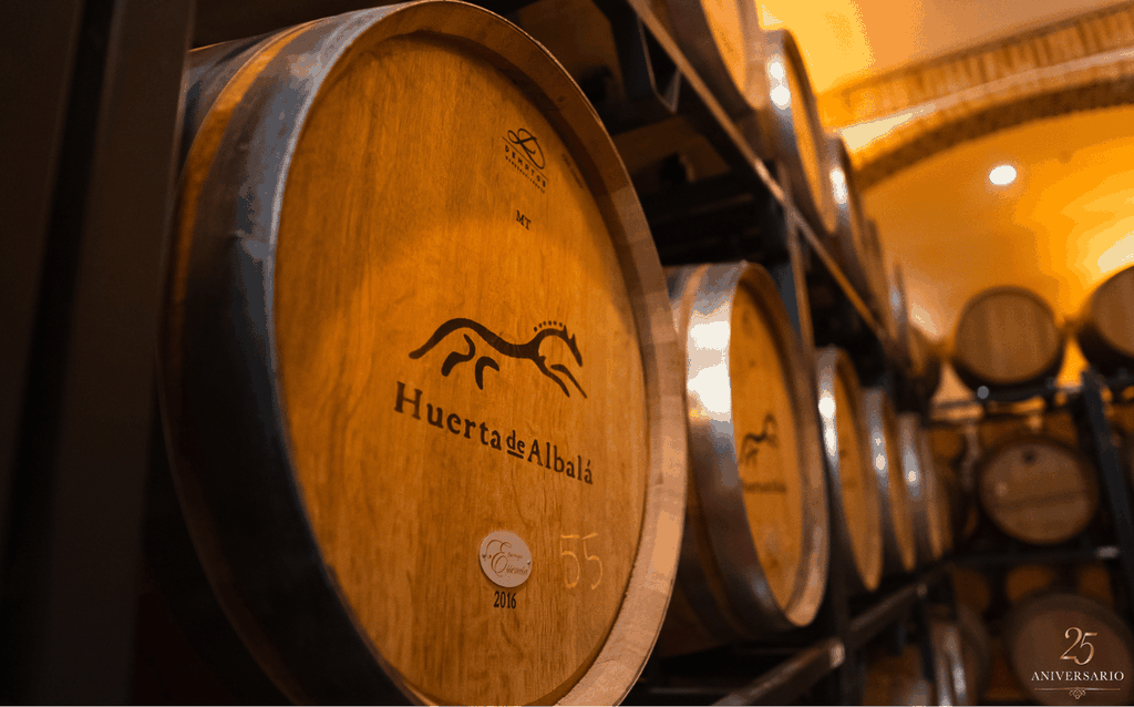 Arcos de la Frontera: Besuch mit Weinprobe Huerta de Albalá