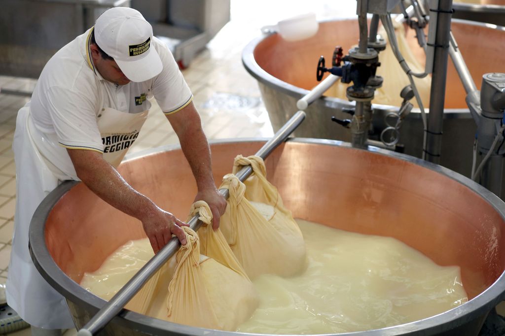 Parma: Parmigiano Reggiano Farmtour & Verkostung mit Transfer