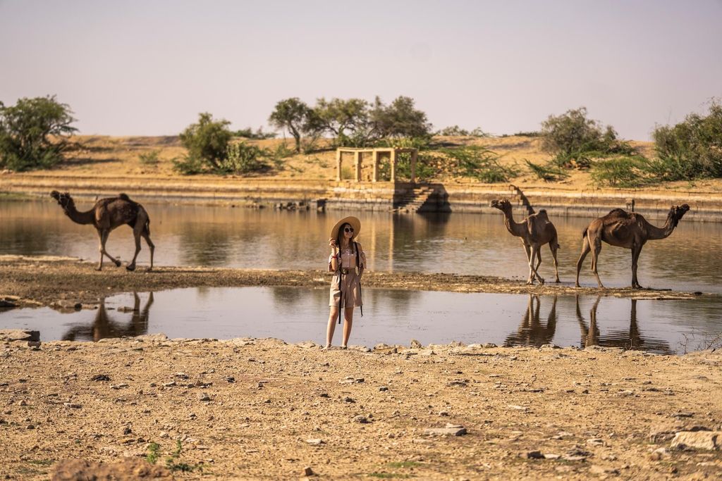 Kulturabend in der Wüste (ohne Kamel): Kalbelia & Sufi-Fusion