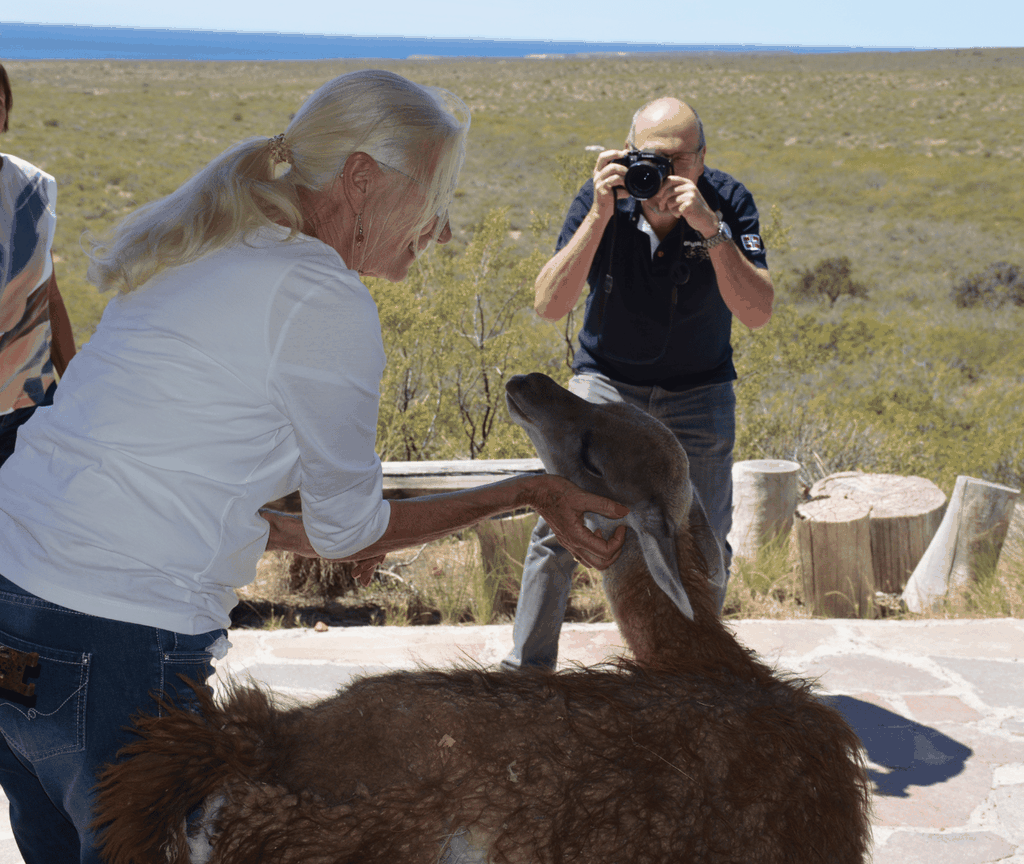 Punta Loma + Ranch Landausflug für Kreuzfahrtpassagiere