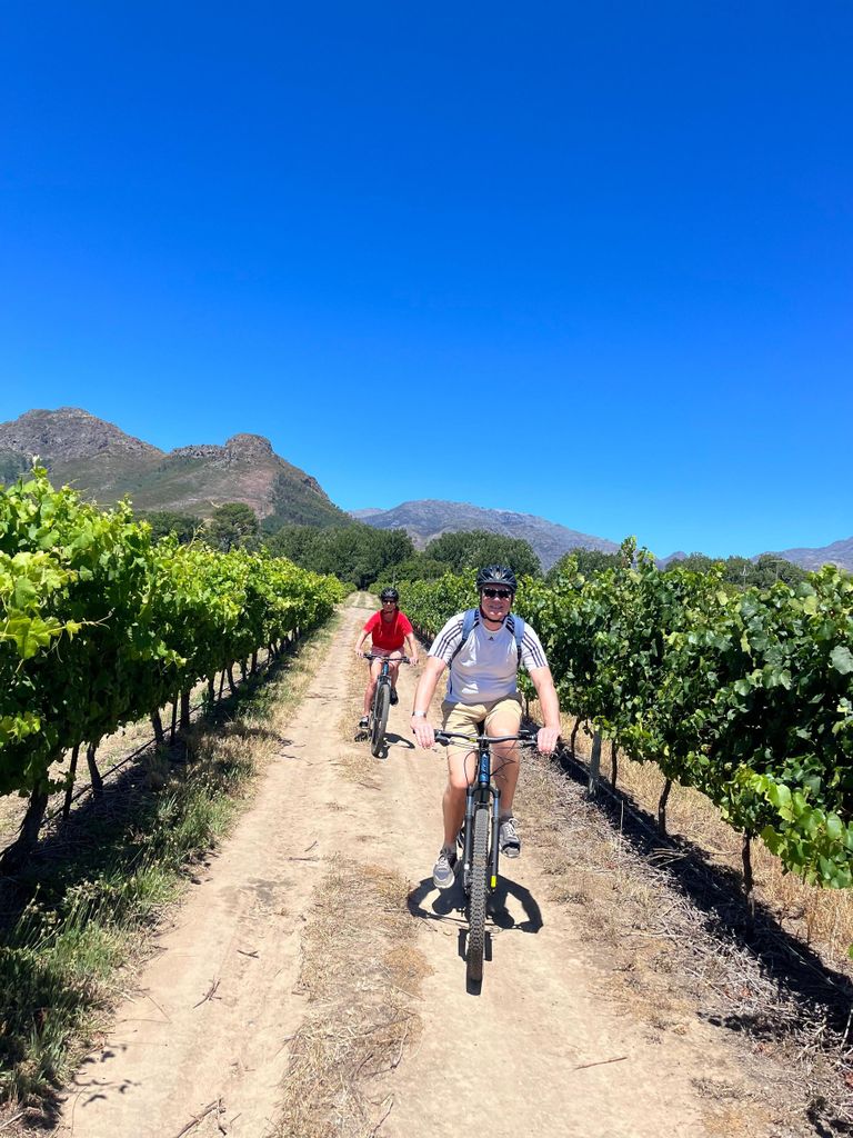 Von Kapstadt aus: Franschhoek Vineyards Fahrradtour mit Mittagessen