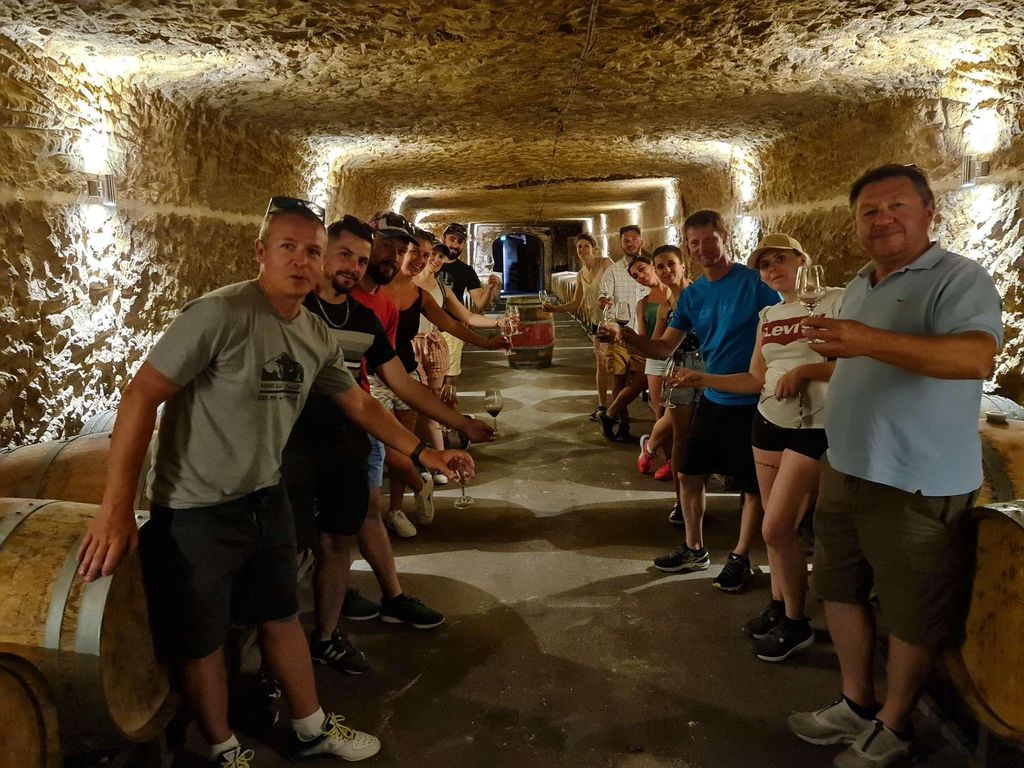 Amboise: Private E-Bike-Tour zu den Highlights mit Clos-Lucé-Ticket