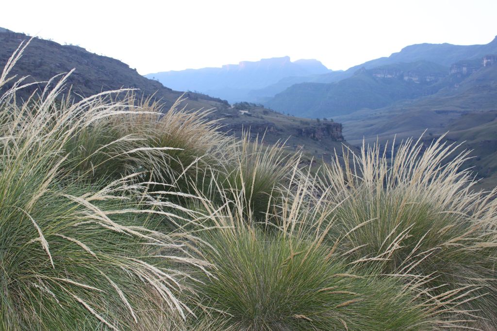 Sani-Pass: Tagestour ab Durban