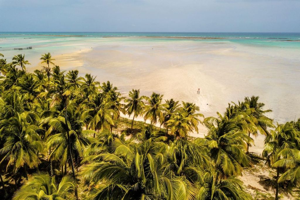 Maceio: Tour zum Maragogi Strand