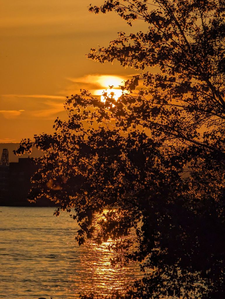 Mainz: geführter Abendrundgang Rheinufer/Altstadt auf Deutsch und Englisch