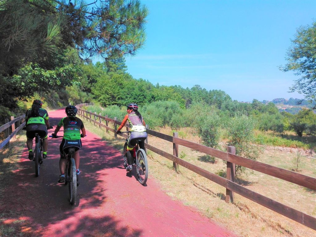 Ab Coimbra: Radfahren auf dem Dão Ecotrail