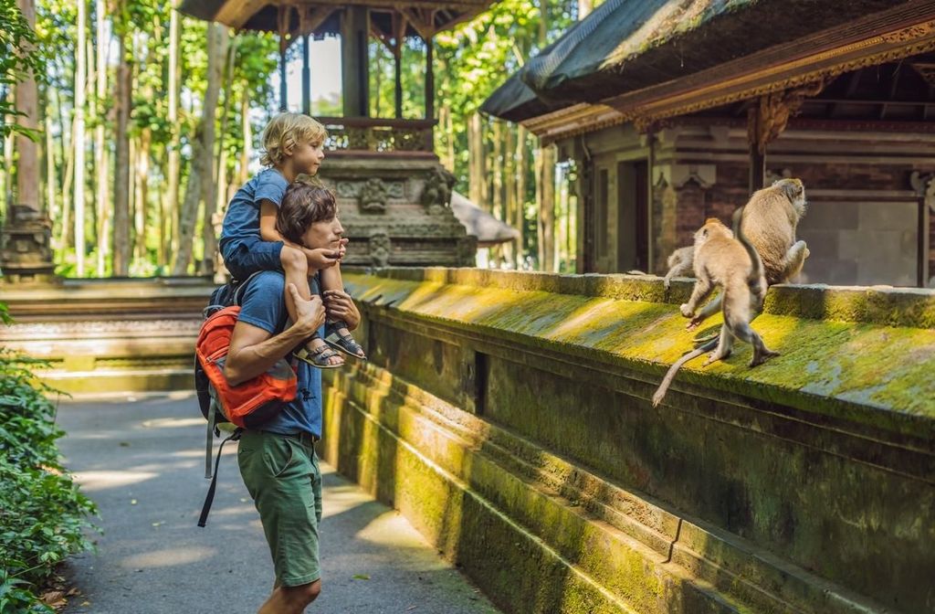 Ubud: All-Inclusive Tour mit optionalem Mittagessen