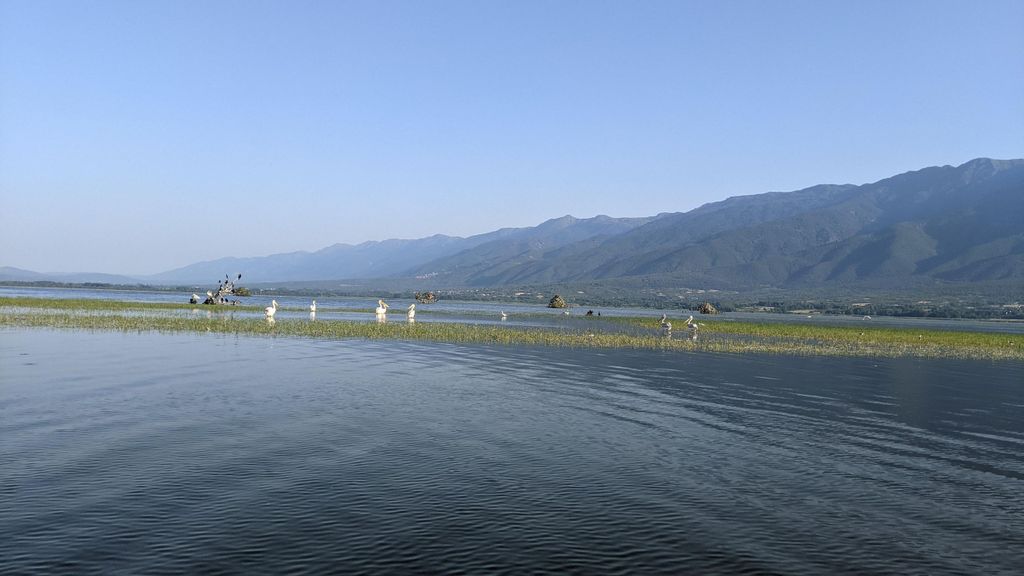 Von Thessaloniki aus: Kerkini-See, Bootsfahrt & Winery Day Tour