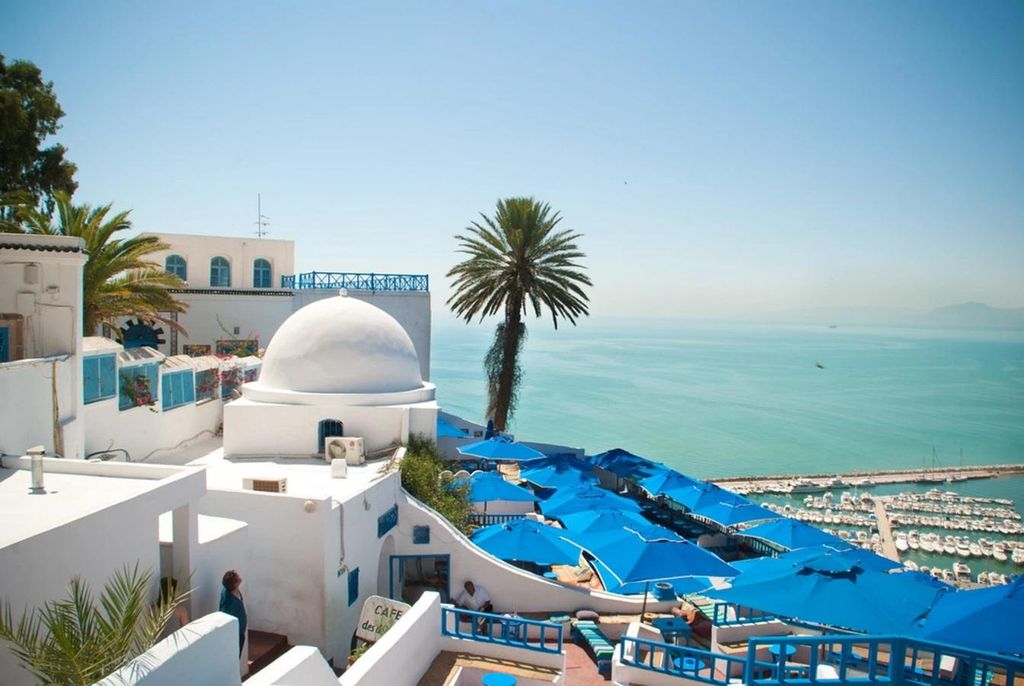 Karthago & Sidi Bou Said: Tagestour mit Geschichte und blauen Gassen