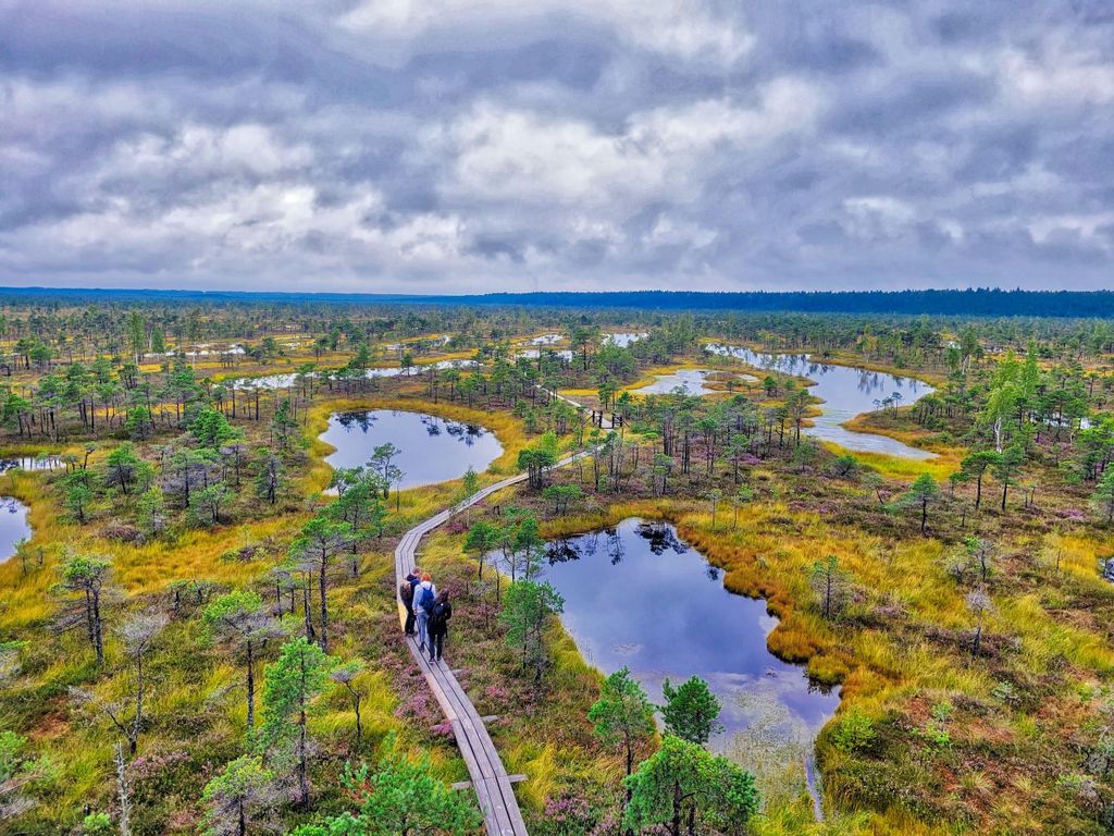 Riga: Das Beste des Kemeri Nationalparks an einem Tag