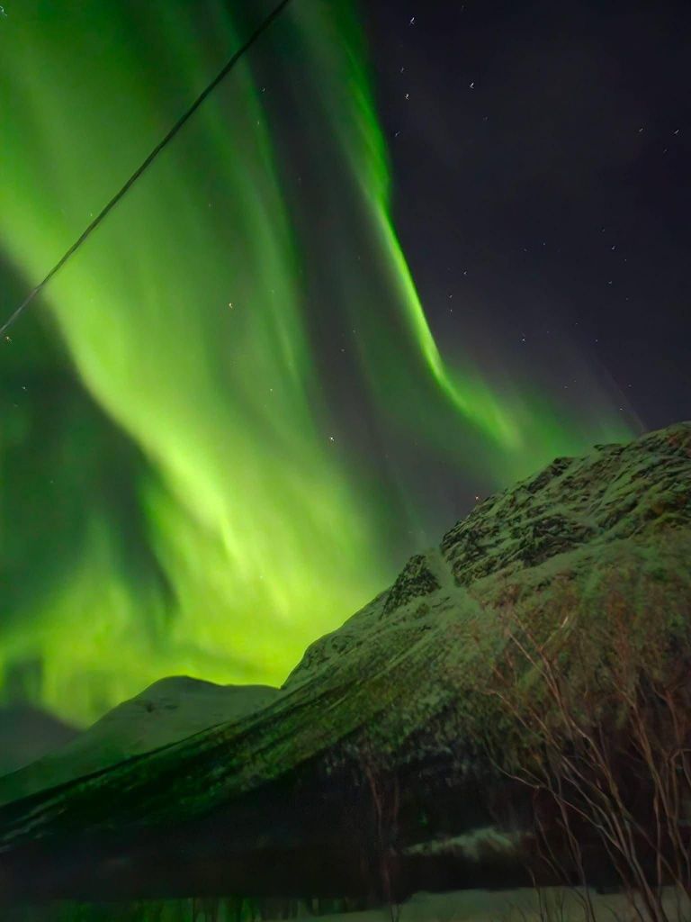 Tromsø: Nordlichter-Tour mit einem ortskundigen Guide