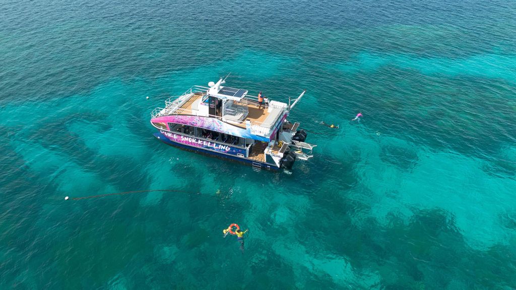 Cairns: All-inclusive-Halbtagesausflug zum Schnorcheln an der Great Barrier Reef