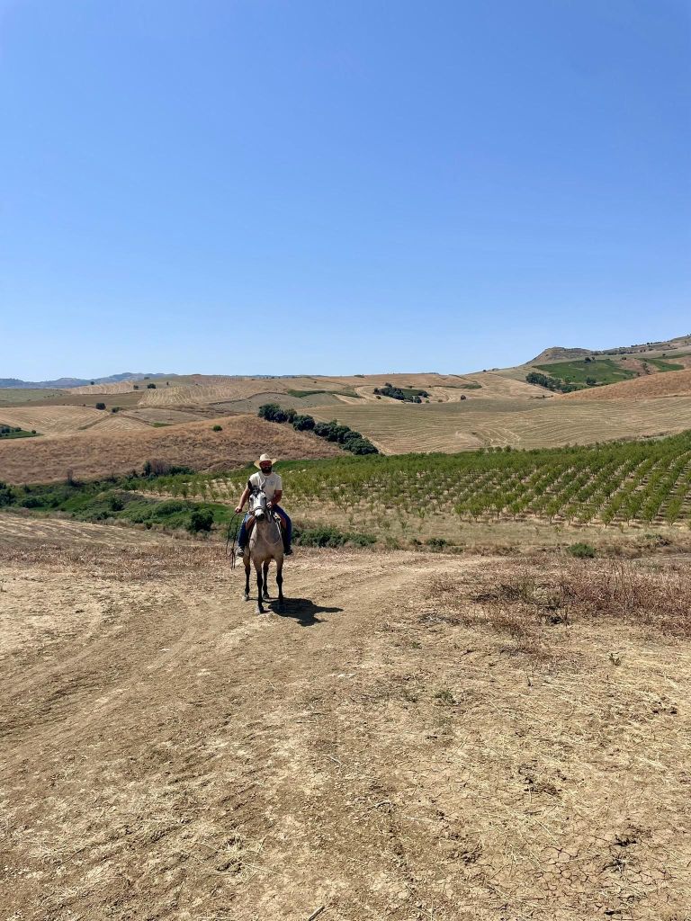 Enna, Sizilien: Ausritt auf Inlandspfaden