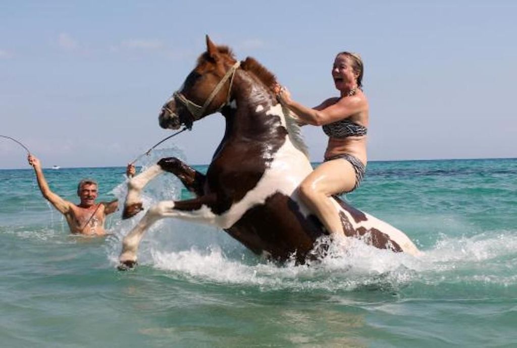 Zakynthos: Reiten und Schwimmen in Yotomu