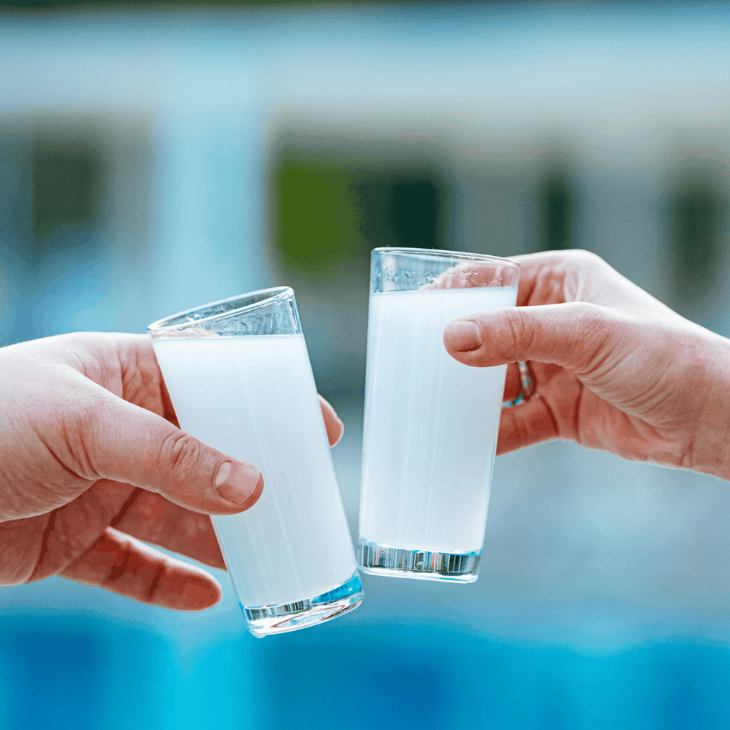 Nafplio: Griechische Spirituosen Verkostung