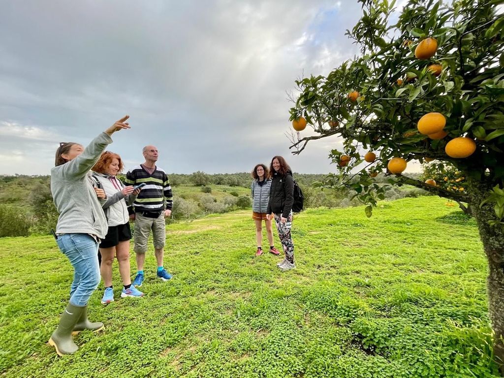 Olhao: Besuch einer Orangenplantage und Silves, die Hauptstadt der Orangen.