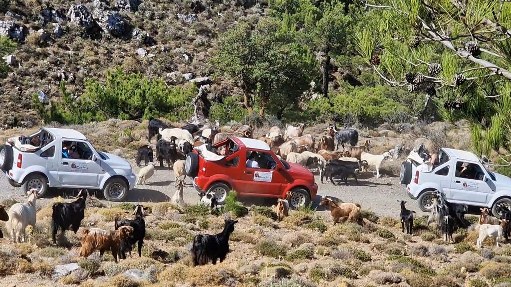 Agios Nikolaos: Jeep-Tour durch die Bergdörfer von Thripti mit Mittagessen
