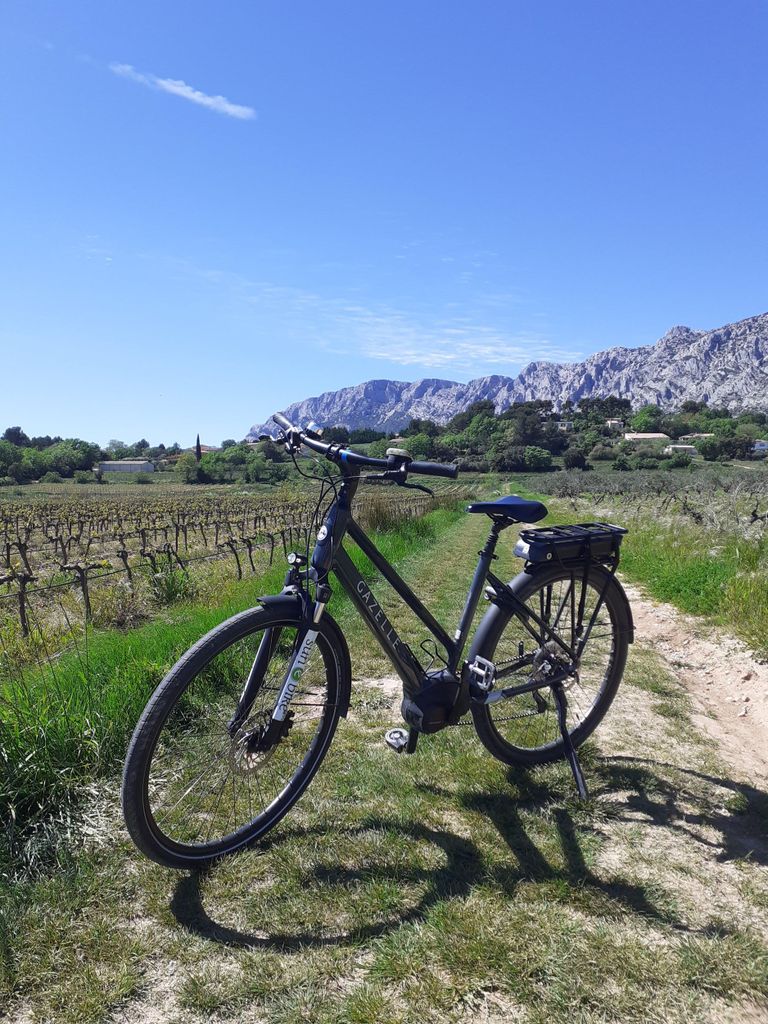 Die Weine der Provence.... ein Muss, um sie zu entdecken!