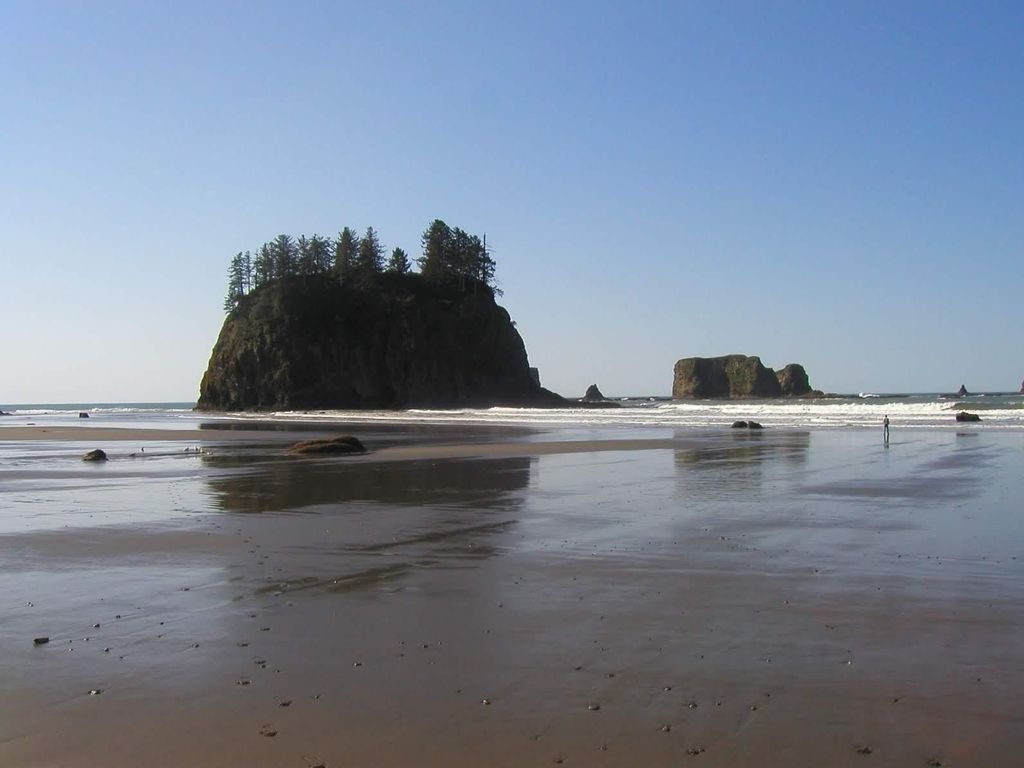 Von Portland aus: Oregon Coast Scenic Day Tour