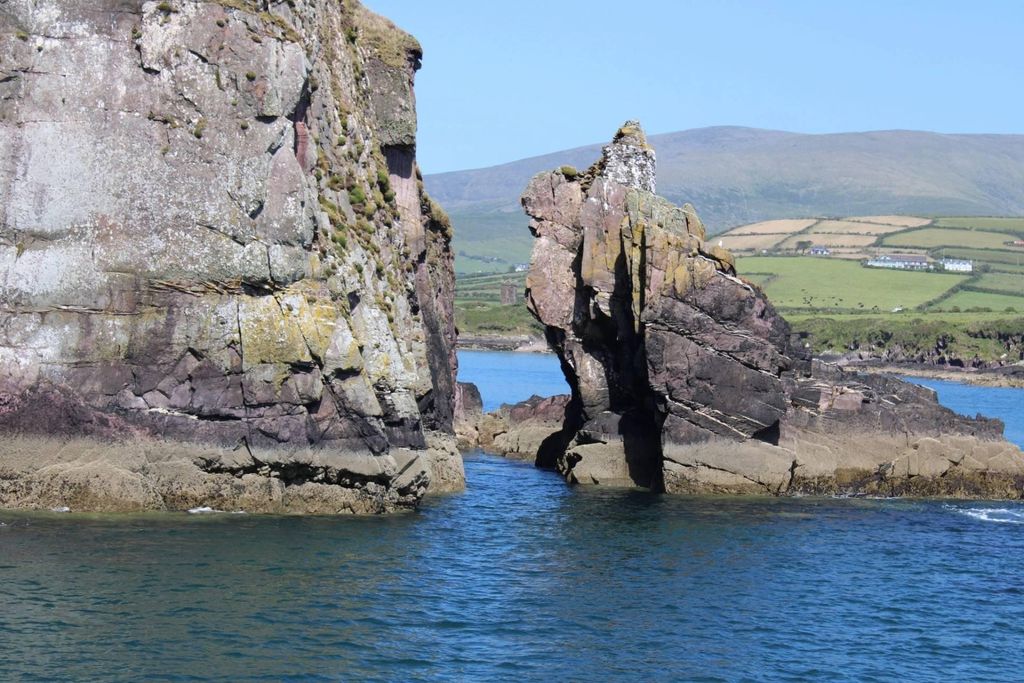 Dingle: Bootstour mit Guide zu den Klippen der Dingle Bay (1 Stunde)