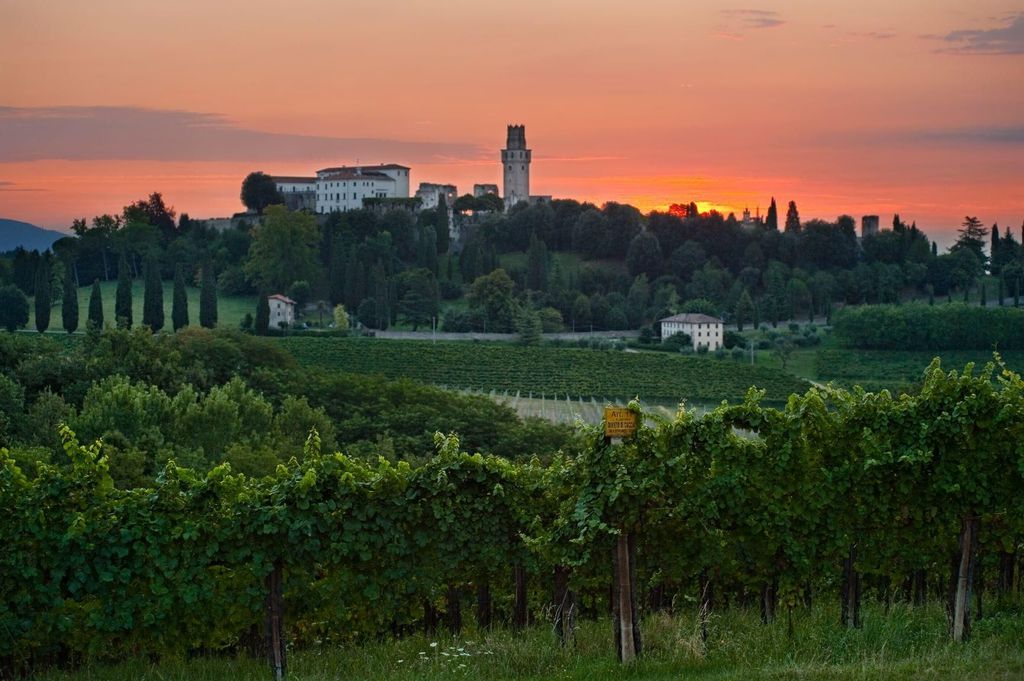 Von Treviso zu den UNESCO-Hügeln; Besuch und Verkostung von Prosecco Superiore.