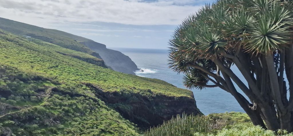 Die wildeste Seite von La Palma: Wandern in die Vergangenheit in Garafía