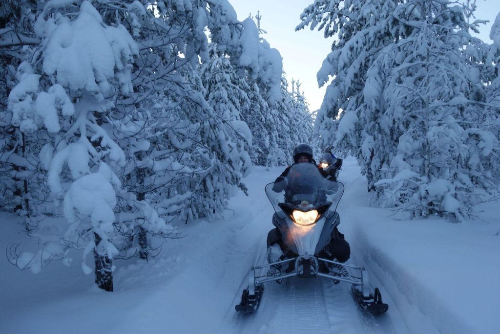 Luleå: Wald & Eis Snowmobile Touren (2 oder 4 Stunden)